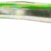 Fly Fishing Flies (Trout  Redfish  Bass) Gum Dry Flies Nymphs Fly Fishing Flies Kit