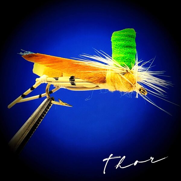 Top Hat Foam Hopper ?C 6 Pc Topwater Fly Fish Dry Flies Nymphs Fly Fishing Flies Kit - Image 3