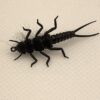 Evolution Black Stonefly Tying Set Dry Flies Nymphs Fly Fishing Flies Kit - Image 3