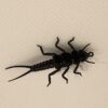 Evolution Black Stonefly Tying Set Dry Flies Nymphs Fly Fishing Flies Kit - Image 9