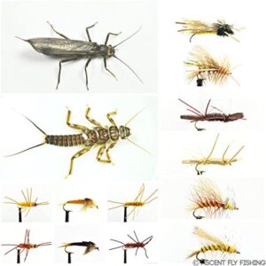 Golden Stonefly Selection Dry Flies Nymphs Fly Fishing Flies Kit