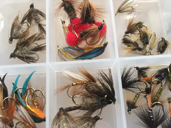 50 Plus Fishing Flies Wet Kit Fly Selection  Dry Flies Nymphs Fly Fishing Flies Kit