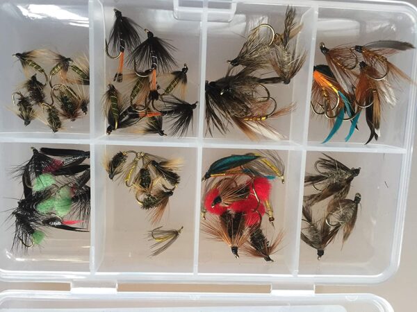 50 Plus Fishing Flies Wet Kit Fly Selection  Dry Flies Nymphs Fly Fishing Flies Kit - Image 2