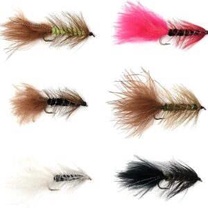 Wooly Bugger Mega Assortment  48 Fly Fishing Dry Flies Nymphs Fly Fishing Flies Kit