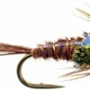 Flashback Pheasant Tail Wet Flies  One Dozen Dry Flies Nymphs Fly Fishing Flies Kit