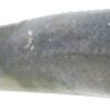Gulp! Alive! Minnow   Emerald Shiner  3 Fishing Artificial Bait Soft Plastic Lures"