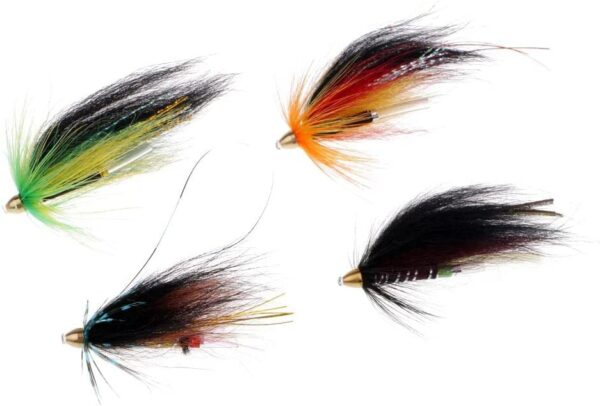 4pcs Fly Fishing Hose Flying Cones Heads Fis Dry Flies Nymphs Fly Fishing Flies Kit - Image 3