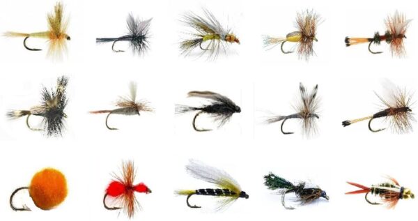 Fly Fishing Lures Assortment  16 Wet & Dry F Dry Flies Nymphs Fly Fishing Flies Kit