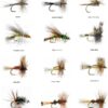 12 Dry Flies Pattern Assortment (3 of Each)  Dry Flies Nymphs Fly Fishing Flies Kit