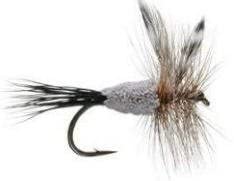 12 Dry Flies Pattern Assortment (3 of Each)  Dry Flies Nymphs Fly Fishing Flies Kit