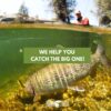 12 Dry Flies Pattern Assortment (3 of Each)  Dry Flies Nymphs Fly Fishing Flies Kit - Image 7