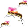 Colorburst Hopper 3 Pc Topwater Foam Fly F Dry Flies Nymphs Fly Fishing Flies Kit