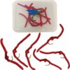 San Juan Worm 6 Pc Trout Fly Fishing Set Dry Flies Nymphs Fly Fishing Flies Kit