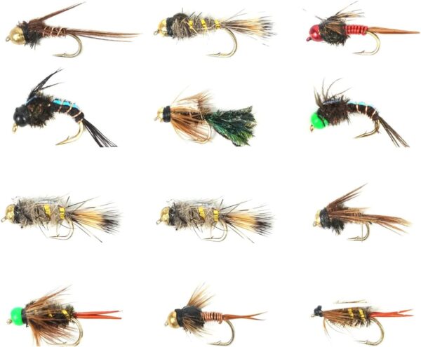 Best Assortment Flies Combo Carp Flies Wet T Dry Flies Nymphs Fly Fishing Flies Kit