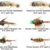 Best Assortment Flies Combo Carp Flies Wet T Dry Flies Nymphs Fly Fishing Flies Kit - Image 2