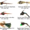 Best Assortment Flies Combo Carp Flies Wet T Dry Flies Nymphs Fly Fishing Flies Kit - Image 3