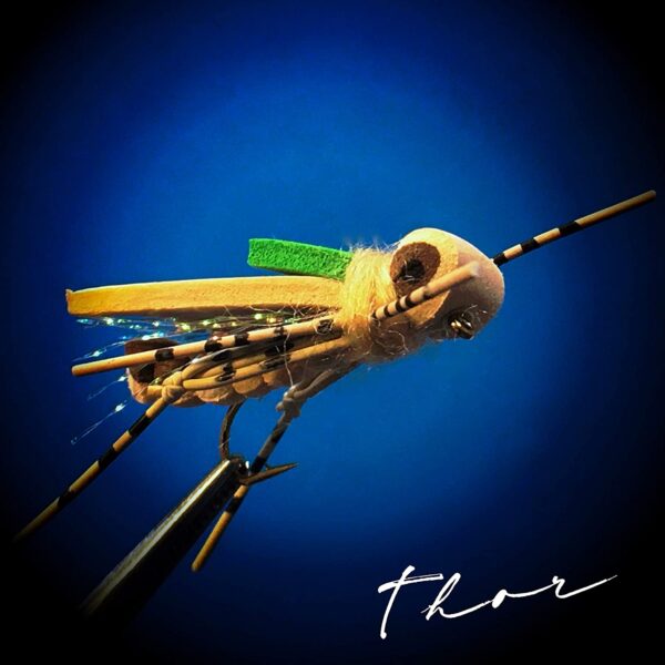 Indicator Foam Hopper 6 Pc Topwater Fly Fi Dry Flies Nymphs Fly Fishing Flies Kit - Image 3