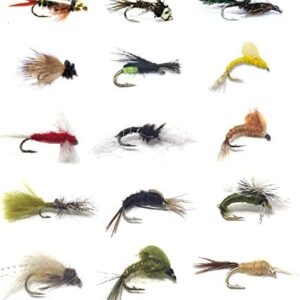 Fly Fishing Assortment for Trout and Other F Dry Flies Nymphs Fly Fishing Flies Kit