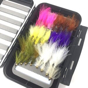 Fly Fishing Assortment Bead Head Wooly Bug Dry Flies Nymphs Fly Fishing Flies Kit