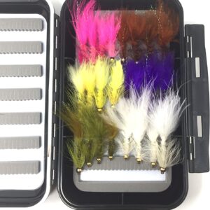 Fly Fishing Assortment Bead Head Wooly Bug Dry Flies Nymphs Fly Fishing Flies Kit