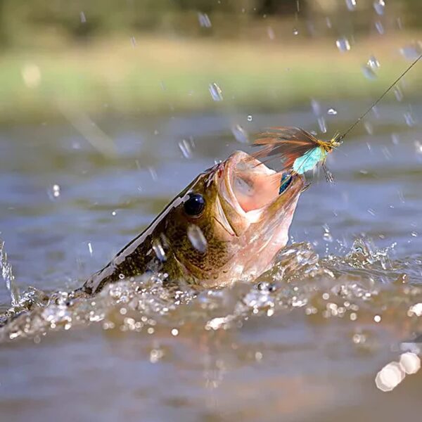 Fly Fishing Fly Kit with Tackle Dry/Wet Fly  Dry Flies Nymphs Fly Fishing Flies Kit - Image 6