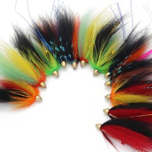 12 pcs Cone Head Tube Fly for Salmon Trout S Dry Flies Nymphs Fly Fishing Flies Kit