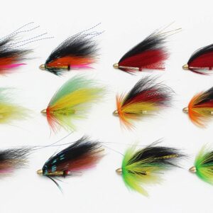 12 pcs Cone Head Tube Fly for Salmon Trout S Dry Flies Nymphs Fly Fishing Flies Kit