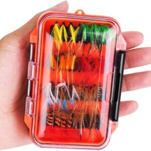 Fly Fishing Flies Kit with Box  Dry Wet Flie Dry Flies Nymphs Fly Fishing Flies Kit