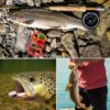 Fly Fishing Flies Kit with Box  Dry Wet Flie Dry Flies Nymphs Fly Fishing Flies Kit - Image 8