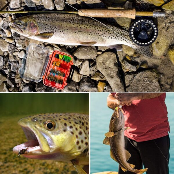 Fly Fishing Flies Kit with Box  Dry Wet Flie Dry Flies Nymphs Fly Fishing Flies Kit - Image 8