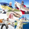 Fishing Lures for Bass Trout Segmented Multi  Fishing Artificial Bait Soft Plastic Lures - Image 5