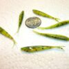 100-1 1/2 Crappie panfish-Trout-Minnow jig-g Fishing Artificial Bait Soft Plastic Lures"