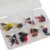 Fly Fishing 32 Wet Selection Flies Sizes 10  Dry Flies Nymphs Fly Fishing Flies Kit