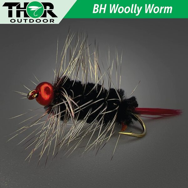 BH Woolly Worm and Squirmy Wormy Fly Fishing Dry Flies Nymphs Fly Fishing Flies Kit - Image 4