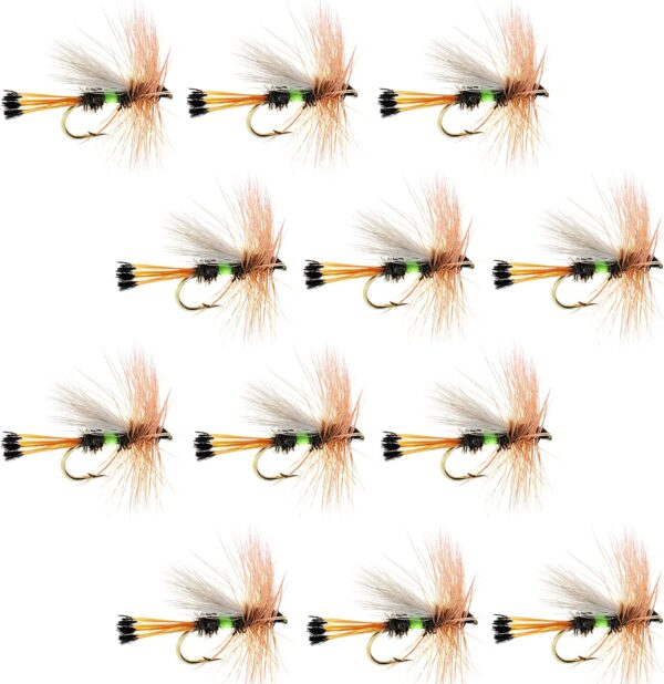 The Fly Fishing Place Lime Royal Trude Class Dry Flies Nymphs Fly Fishing Flies Kit