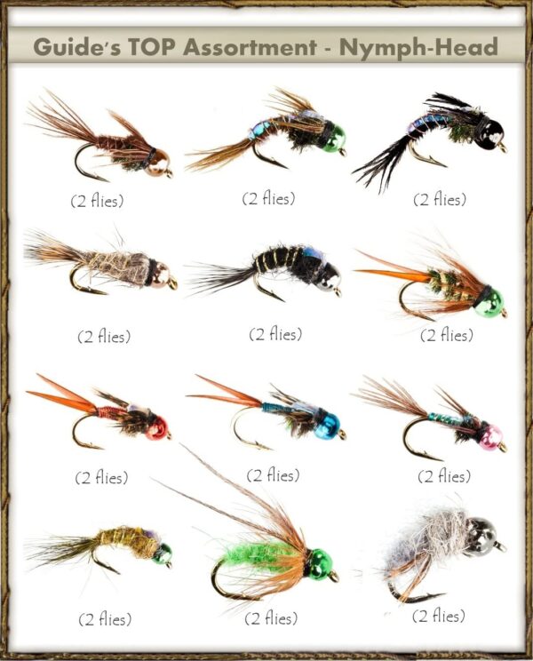 Next Generation Flies Nymph-Head Assortmen Dry Flies Nymphs Fly Fishing Flies Kit