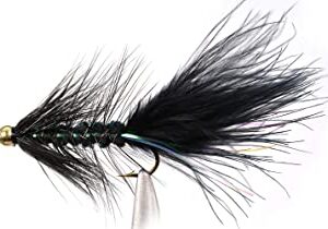 Region Fishing Woolly Bugger Black Bead Head Dry Flies Nymphs Fly Fishing Flies Kit
