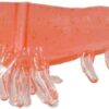 Okiami Shrimp Fishing Soft Bait Fishing Artificial Bait Soft Plastic Lures
