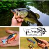 Fishing Lures for Bass  Trout Segmented Multi Fishing Artificial Bait Soft Plastic Lures - Image 6