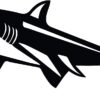 Goforfishing? Fish Chum Kit - 'Old Chum Crumb Fishing Artificial Bait Soft Plastic Lures - Image 6