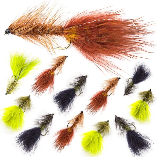 ?C Wooly Bugger Flies 12 PC Assortment Dry Flies Nymphs Fly Fishing Flies Kit