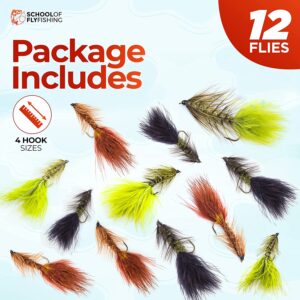 ?C Wooly Bugger Flies 12 PC Assortment Dry Flies Nymphs Fly Fishing Flies Kit