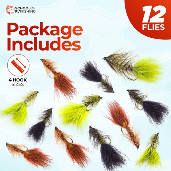 ?C Wooly Bugger Flies 12 PC Assortment Dry Flies Nymphs Fly Fishing Flies Kit - Image 2