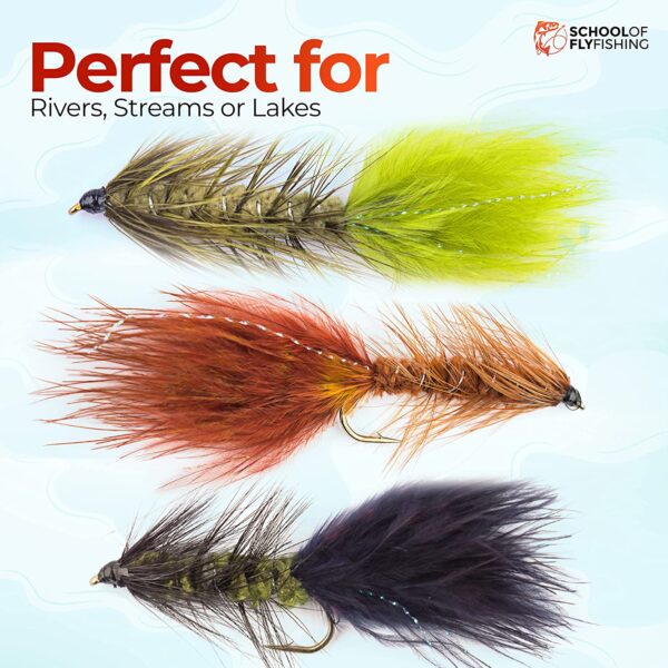 ?C Wooly Bugger Flies 12 PC Assortment Dry Flies Nymphs Fly Fishing Flies Kit - Image 5
