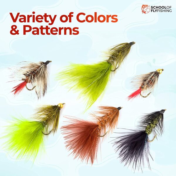 ?C Wooly Bugger Flies 12 PC Assortment Dry Flies Nymphs Fly Fishing Flies Kit - Image 6