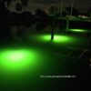 14 000 Lumen  Brilliant Green Double Lamp Und Fishing Artificial Bait Soft Plastic Lures - Image 7
