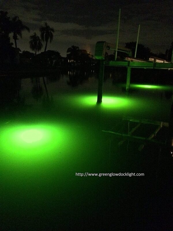 14 000 Lumen  Brilliant Green Double Lamp Und Fishing Artificial Bait Soft Plastic Lures - Image 7