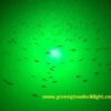 14 000 Lumen  Brilliant Green Double Lamp Und Fishing Artificial Bait Soft Plastic Lures - Image 8