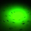 14 000 Lumen  Brilliant Green Double Lamp Und Fishing Artificial Bait Soft Plastic Lures - Image 9