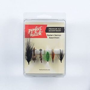 Fly Assortment Dry Flies Nymphs Fly Fishing Flies Kit